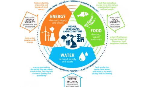 Strategy of Water-Energy-Food Nexus in China Under Green Development