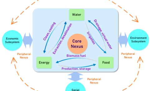 Water-Energy-Food Coordinated Development Model and Strategic Framework Under Green Development in China