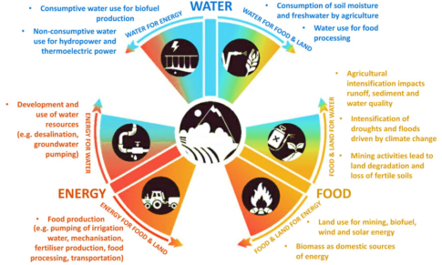 Impacts of Climate Change on the Water-Energy-Food Nexus in China